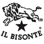 IL BISONTE