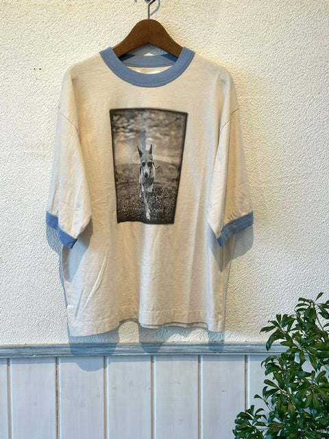 ESTROISLOSE　　リンガー天竺5分袖プリントTシャツ　　EC26210