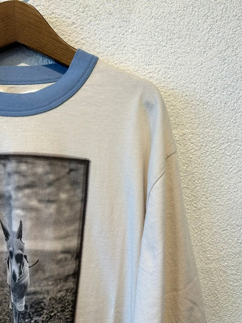 ESTROISLOSE　　リンガー天竺5分袖プリントTシャツ　　EC26210